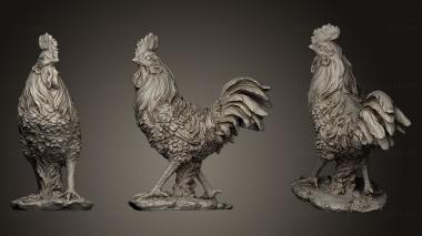 3D model Rooster (STL)